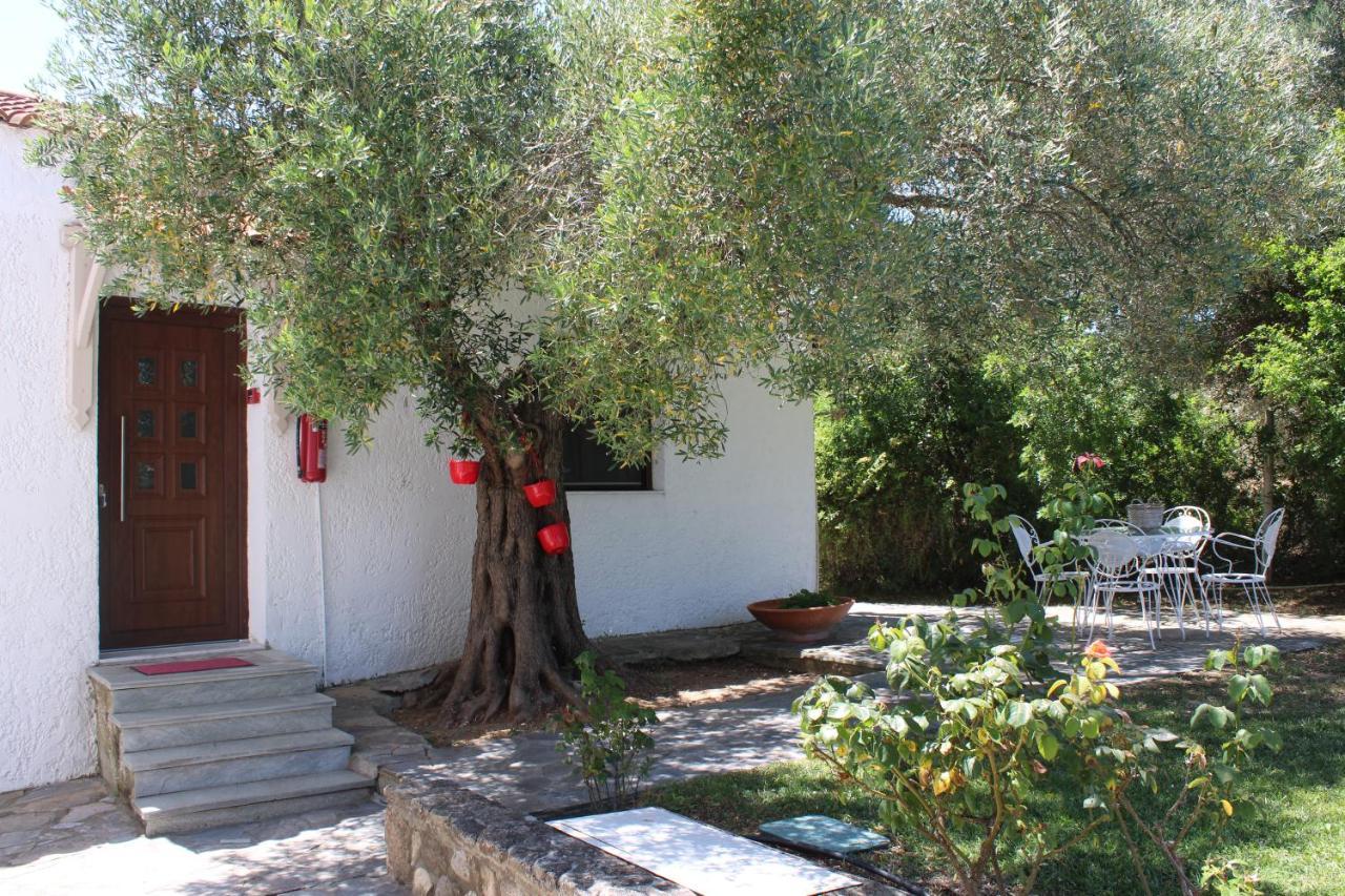 Apartamento Marios Garden House Afytos Exterior foto